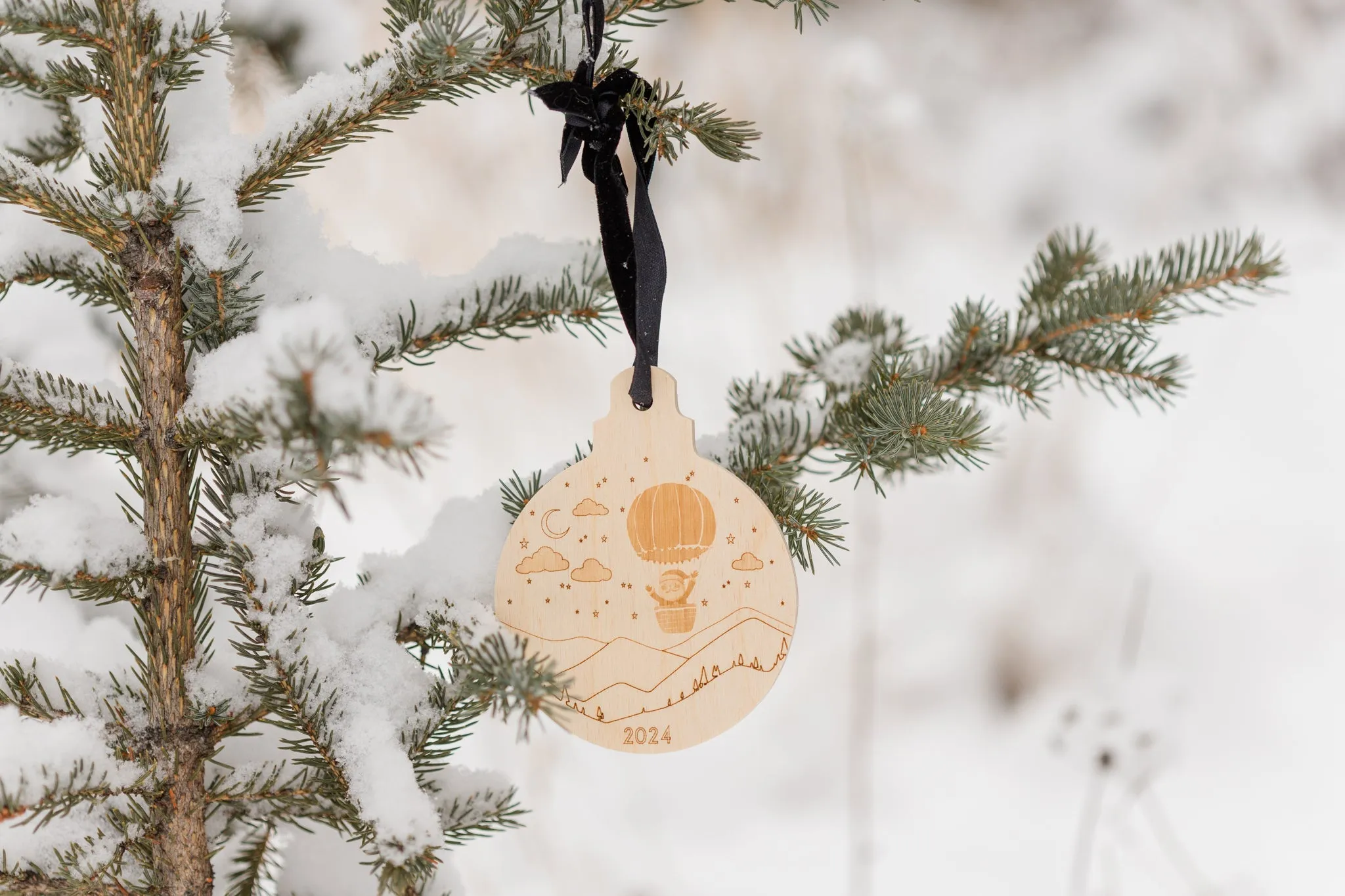 2024  Annual Ornament