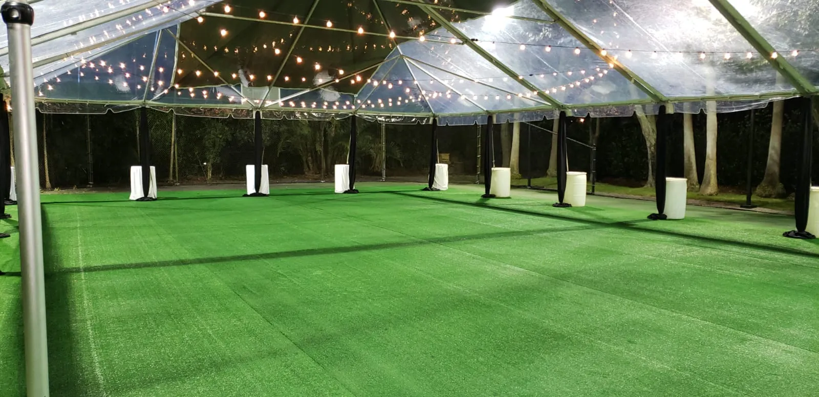 Astro Turf