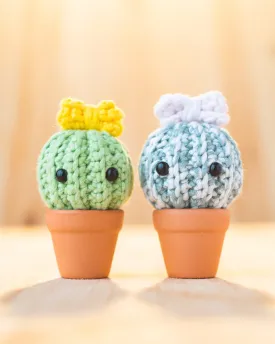 Level 1: A Thorny Cactus Workshop