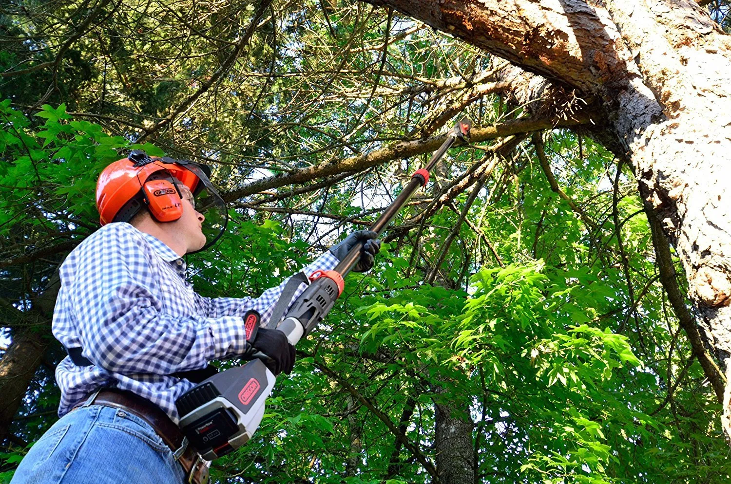 Oregon Cordless 40V Max PS250-A6 Pole Saw with 4.0 Ah Battery and Standard Charger