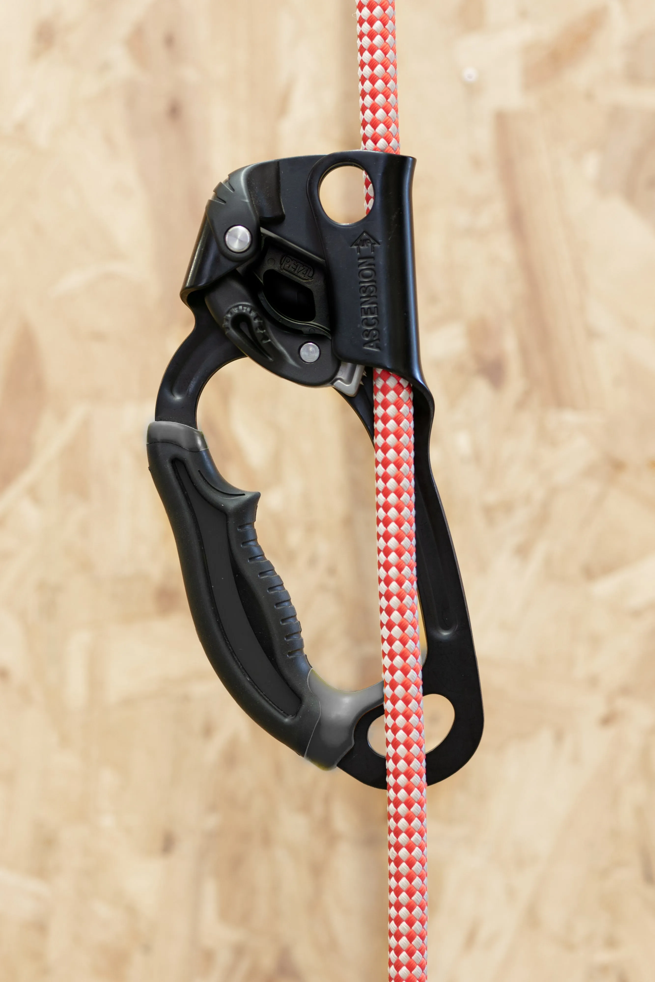 Petzl - Ascension